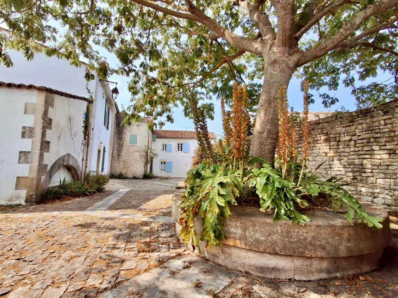 Ferienwohnung Le Nid Flottais La Flotte Exterior foto